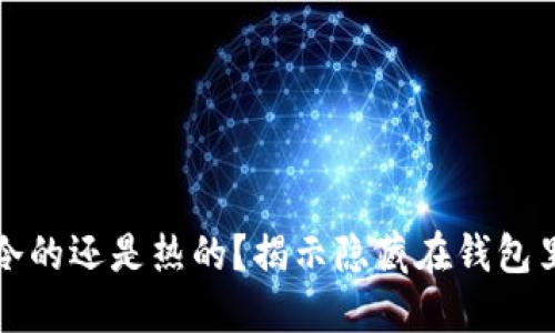 钱包是冷的还是热的？揭示隐藏在钱包里的秘密