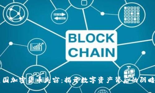 美国加密货币失窃：揭开数字资产背后的阴暗面