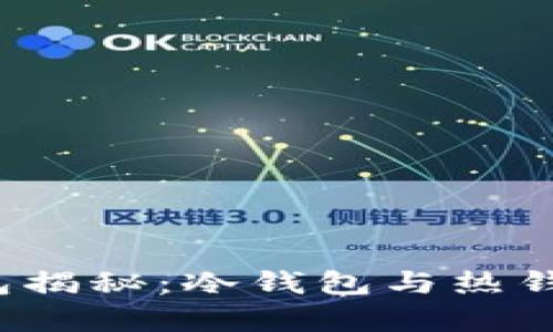 Web3钱包揭秘：冷钱包与热钱包的真相