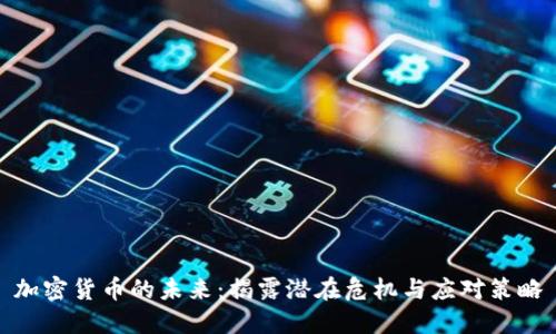 加密货币的未来：揭露潜在危机与应对策略