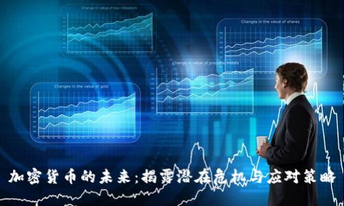 加密货币的未来：揭露潜在危机与应对策略