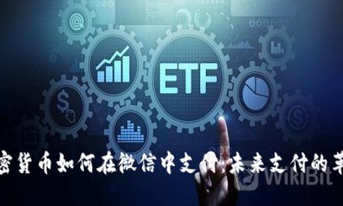 加密货币如何在微信中支付：未来支付的革命