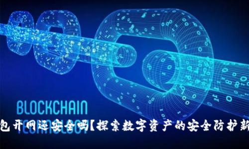 冷钱包开网还安全吗？探索数字资产的安全防护新领域