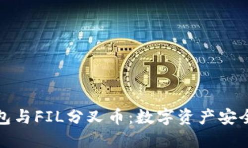 解密冷钱包与FIL分叉币：数字资产安全的新时代