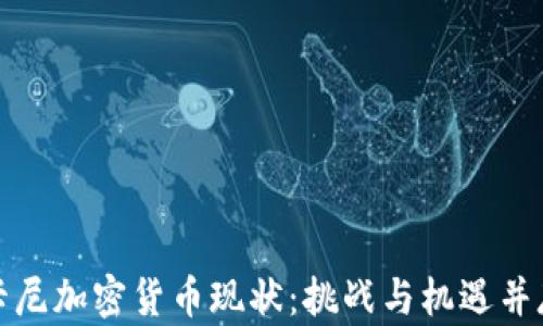 
卡尼加密货币现状：挑战与机遇并存