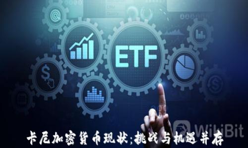 
卡尼加密货币现状：挑战与机遇并存