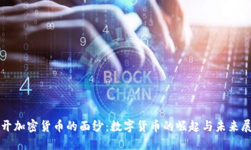 揭开加密货币的面纱：数字货币的崛起与未来展望