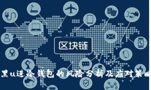 黑u进冷钱包的风险分析及应对策略