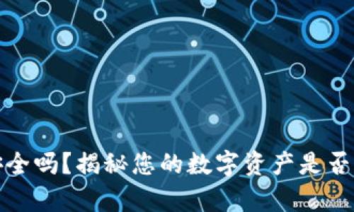 冷钱包安全吗？揭秘您的数字资产是否真的安全