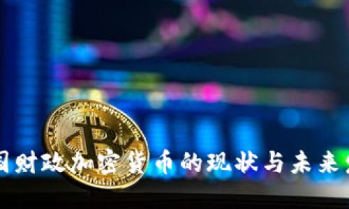 美国财政加密货币的现状与未来发展
