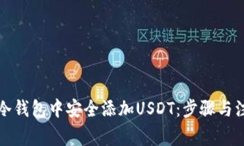如何在冷钱包中安全添加USDT：步骤与注意事项