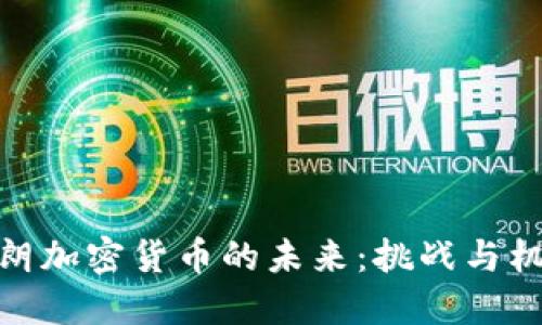 伊朗加密货币的未来：挑战与机遇