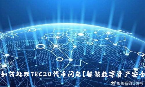 冷钱包如何处理TRC20代币问题？解锁数字资产安全新方式