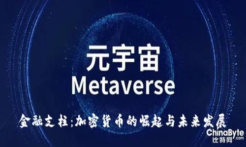 金融支柱：加密货币的崛起与未来发展