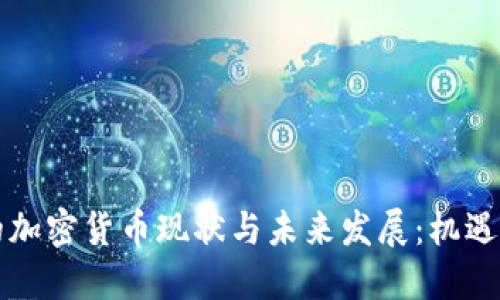 中国的加密货币现状与未来发展：机遇与挑战