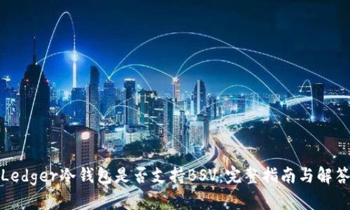 Ledger冷钱包是否支持BSV：完整指南与解答