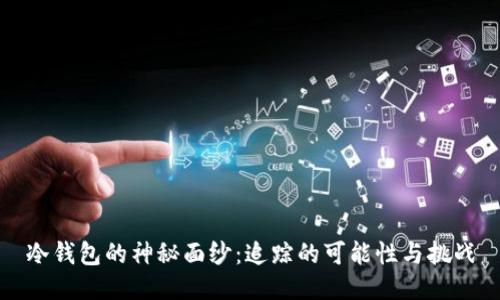 冷钱包的神秘面纱：追踪的可能性与挑战