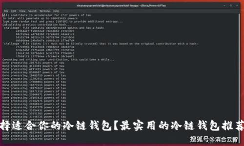 如何选择适合你的冷链钱包？最实用的冷链钱包推荐与评测