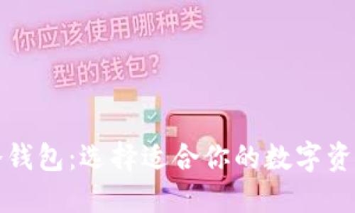 热钱包与冷钱包：选择适合你的数字资产安全策略