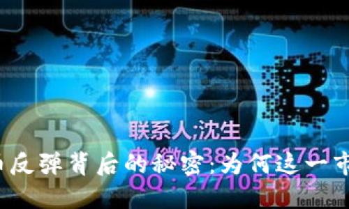 解密加密货币反弹背后的秘密：为何这一市场再次腾飞？