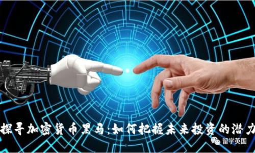 探寻加密货币黑马：如何把握未来投资的潜力