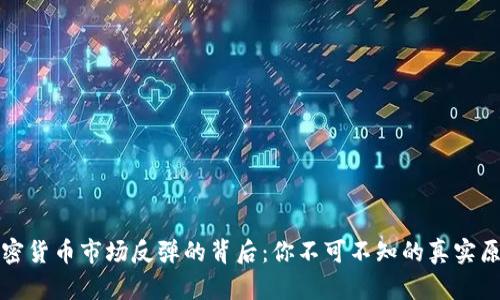 加密货币市场反弹的背后：你不可不知的真实原因