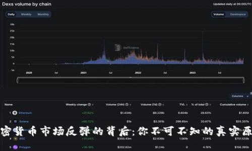 加密货币市场反弹的背后：你不可不知的真实原因