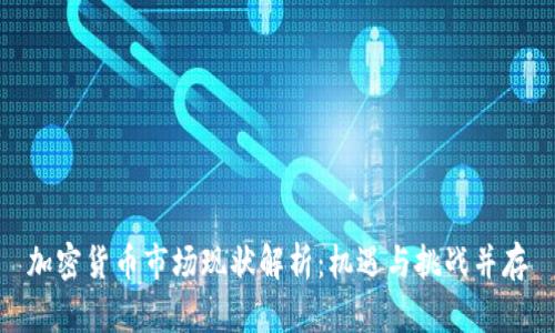 加密货币市场现状解析：机遇与挑战并存