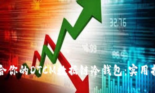 如何选择最适合你的DTCM数据链冷钱包：实用指南与选购秘籍