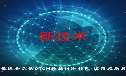 如何选择最适合你的DTCM数据链冷钱包：实用指南与选购秘籍