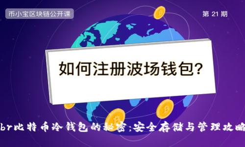 br比特币冷钱包的秘密：安全存储与管理攻略