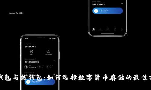 冷钱包与热钱包：如何选择数字货币存储的最佳方案