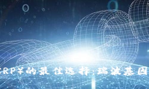 安全存储瑞波（XRP）的最佳选择：瑞波基因冷钱包下载指南