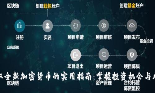 获取全新加密货币的实用指南：掌握投资机会与风险