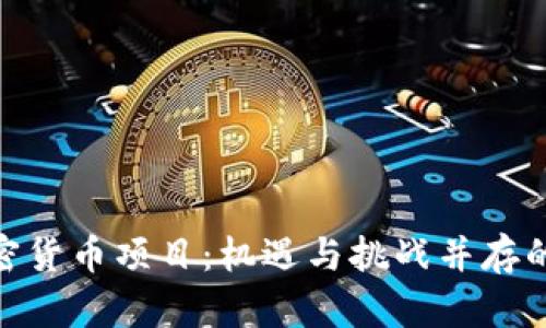 越南的加密货币项目：机遇与挑战并存的未来之路