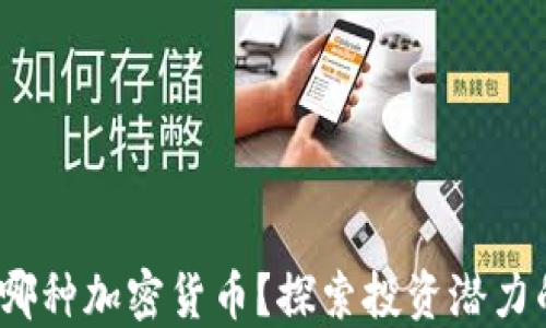
2023年买哪种加密货币？探索投资潜力的最佳选择