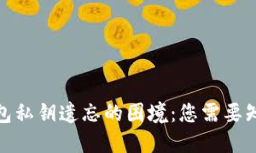 如何应对冷钱包私钥遗忘的困境：您需要知道的实用策略