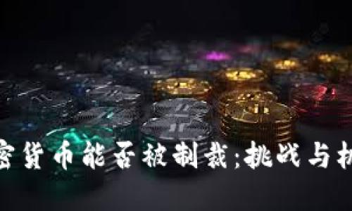 加密货币能否被制裁：挑战与机遇