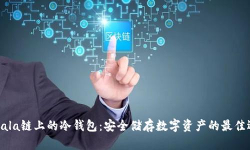 Sonala链上的冷钱包：安全储存数字资产的最佳选择