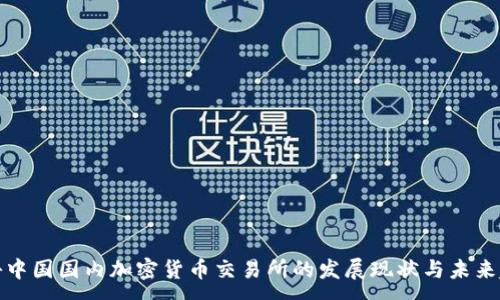 :

揭秘中国国内加密货币交易所的发展现状与未来趋势